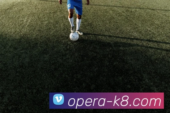 凯发娱乐平台生态图